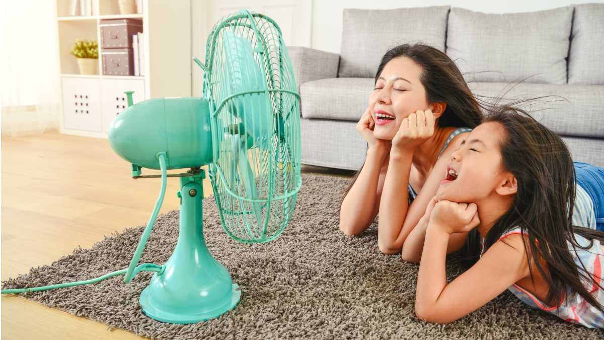 ¿Cómo elegir el ventilador ideal para el hogar?